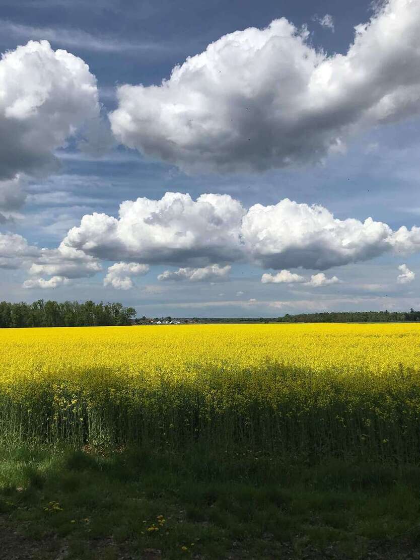 Grundstück zu verkaufen in Kronberg 1.000.000 € 800 m² zimmer