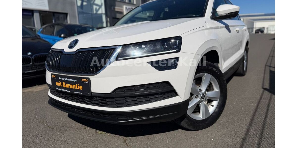 Skoda Karoq 176.000 km 12.990 &euro; Kall 53925
