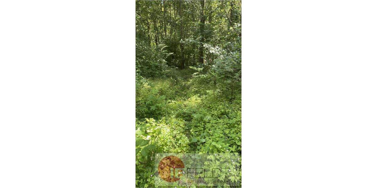 Bauernhaus, Landhaus Goldberg - 6 Zimmer, 150 m&sup2;, 119.000&euro; | Angebot:25821875
