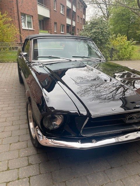 Mustang