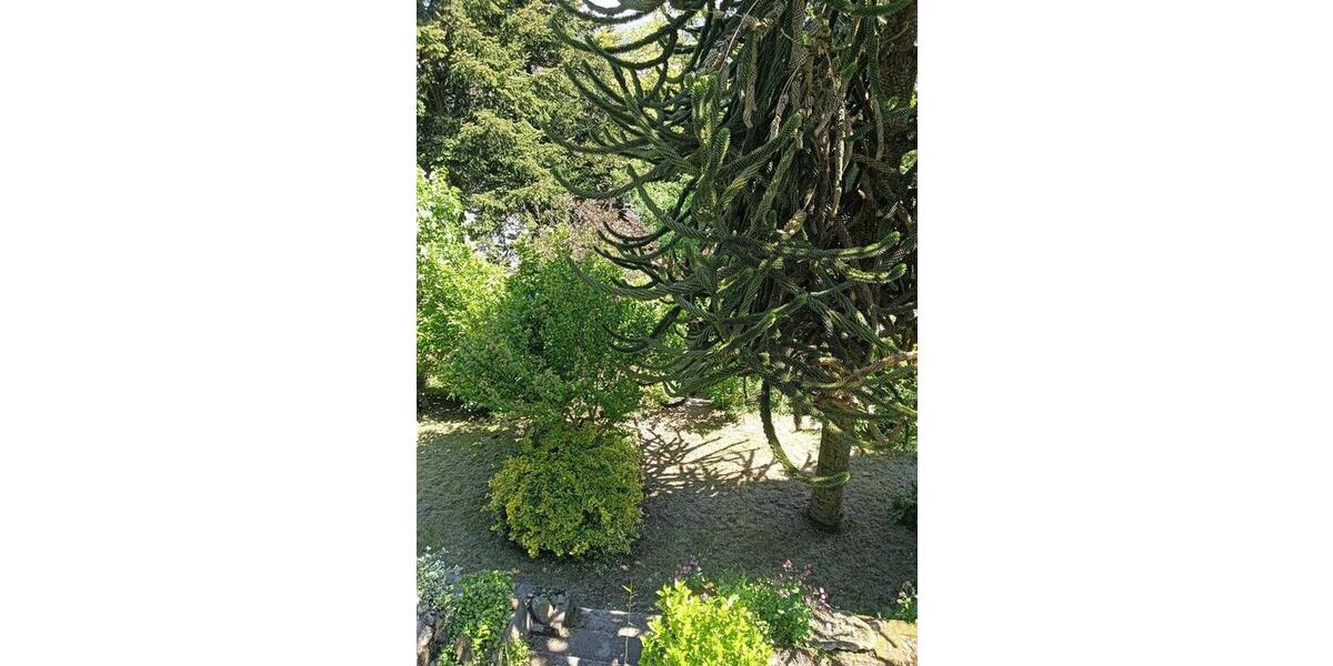 Einfamilienhaus Spiesen-Elversberg Elversberg - 299.000&euro; | Angebot:26957594