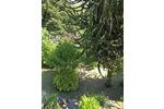 Einfamilienhaus Spiesen-Elversberg Elversberg - 299.000&euro; | Angebot:26957594