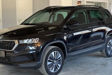 Skoda Karoq 142.642 km 22.450 &euro; Goslar 38642