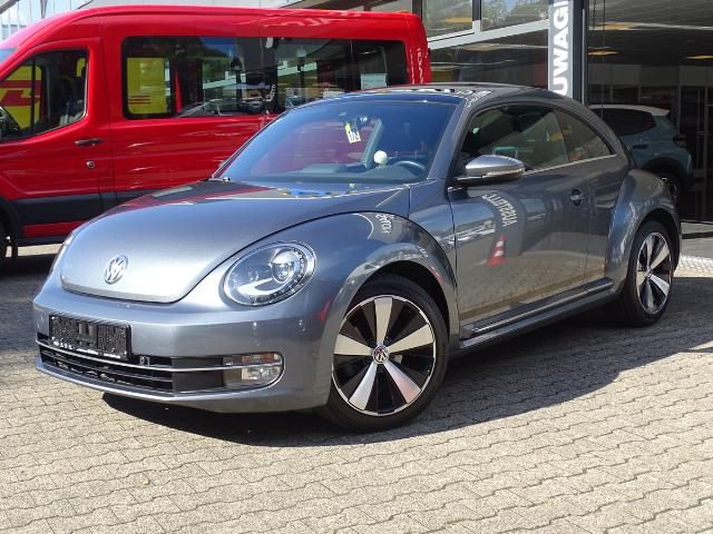 Beetle