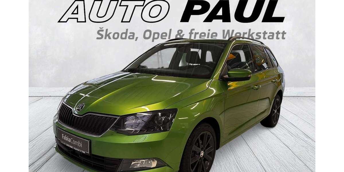Skoda Fabia 97.702 km 10.199 &euro; Neugersdorf 02727