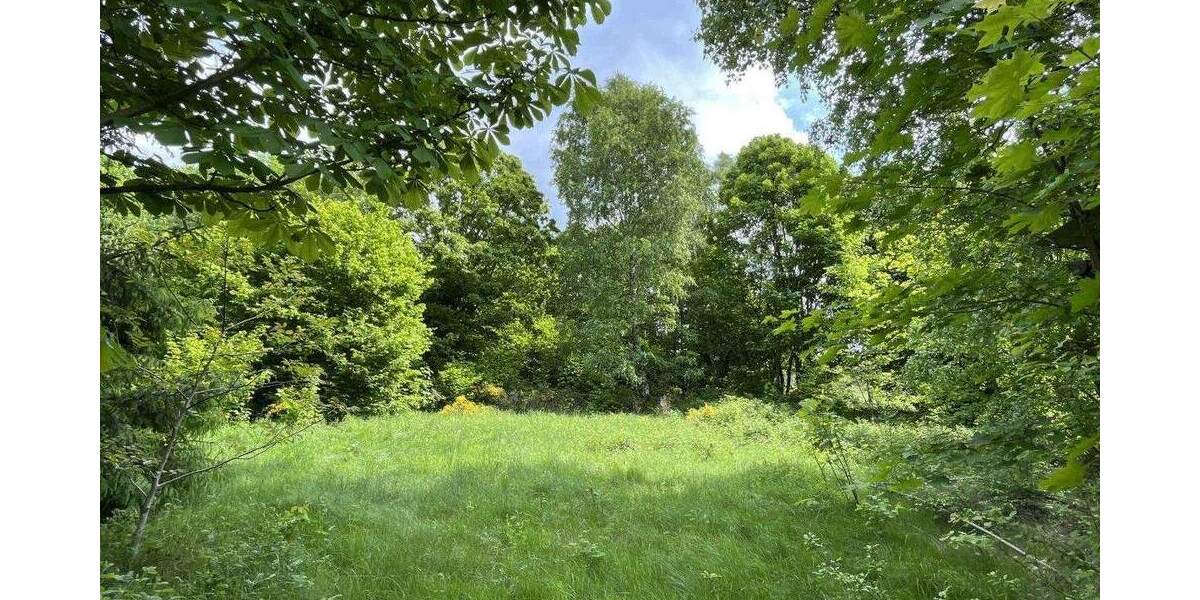 Mehrfamilienhaus, Wohnhaus Sebnitz - 3 Zimmer, 641 m&sup2;, 295.000&euro; | Angebot:25749243