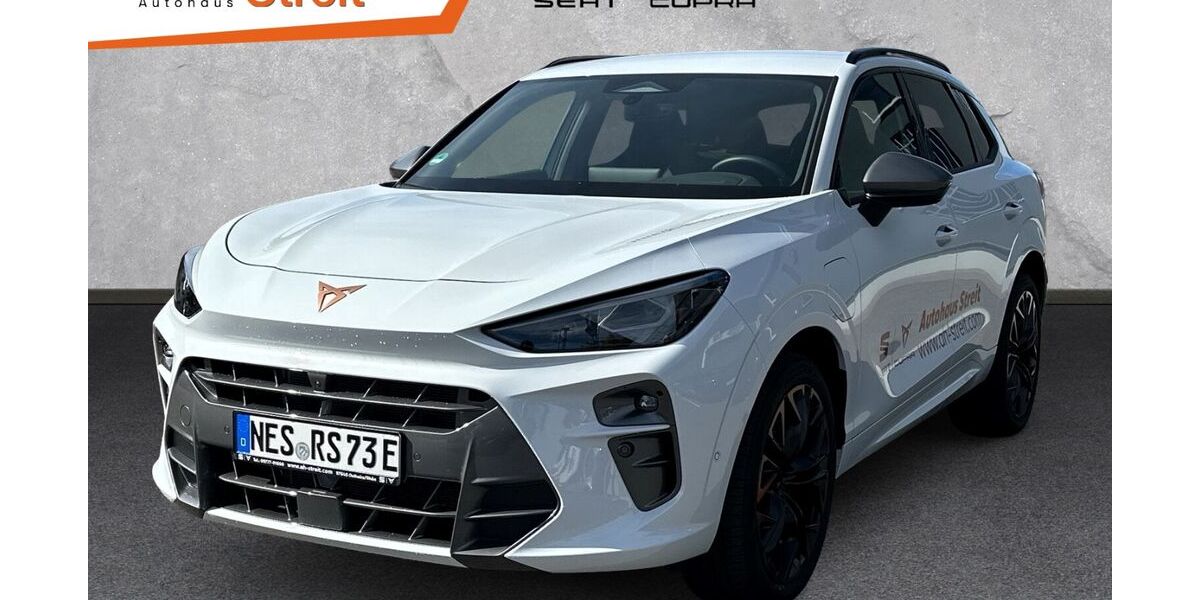 Cupra Terramar 6.000 km 50.950 &euro; Ostheim 97645