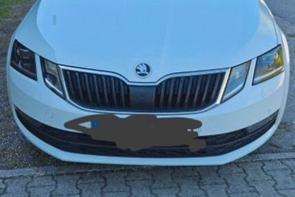 Skoda Octavia 175.000 km 11.200 &euro; Waldkirchen 94065