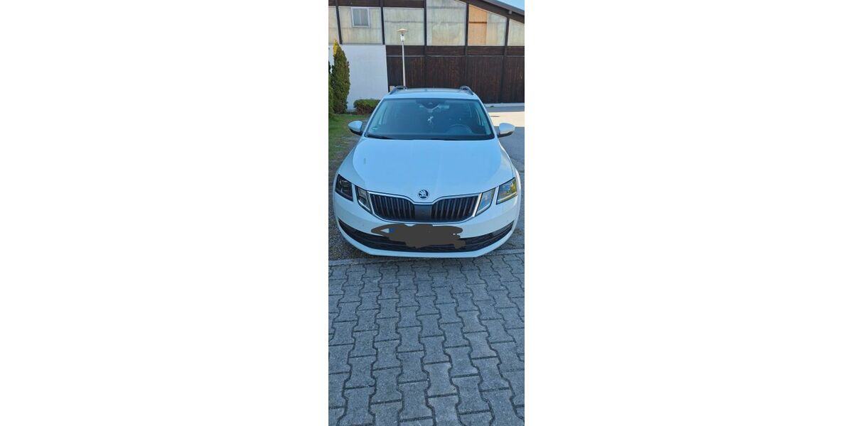 Skoda Octavia 175.000 km 11.200 &euro; Waldkirchen 94065
