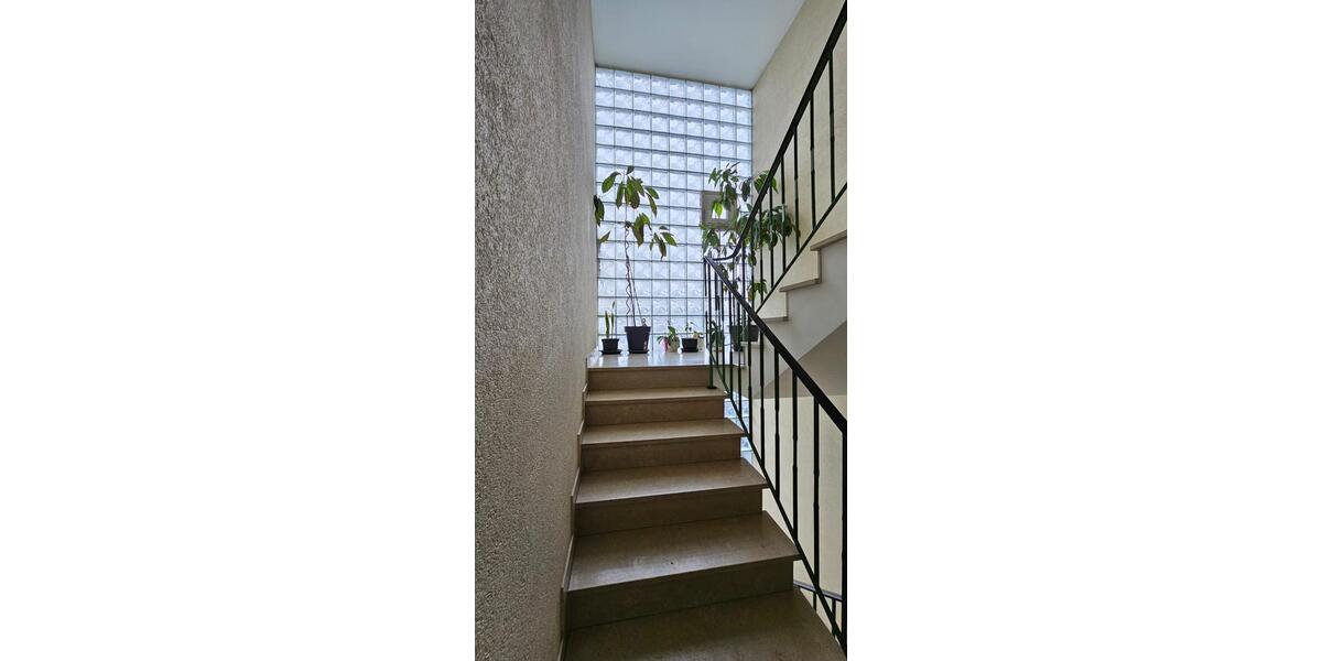 5 Familienhaus inkl. Penthaus-Wohnung mit Gewerbehalle 13 zimmer