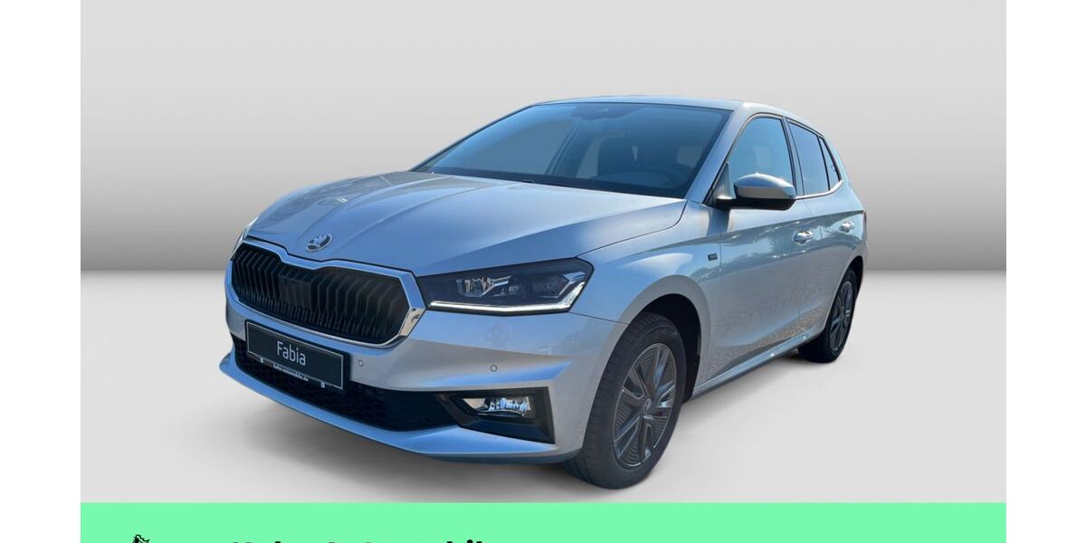 Skoda Fabia 2.500 km 21.990 &euro; Weinstadt-Endersbach 71384