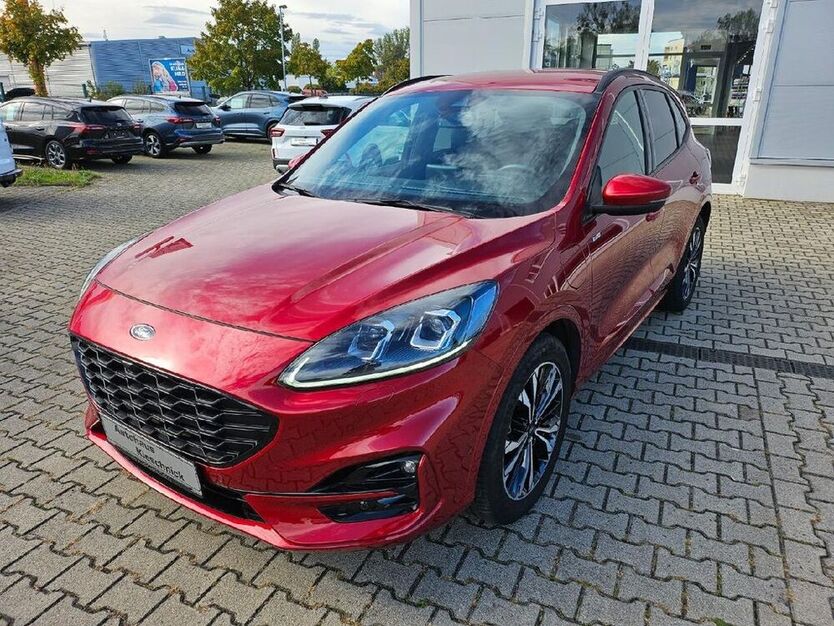 Kuga