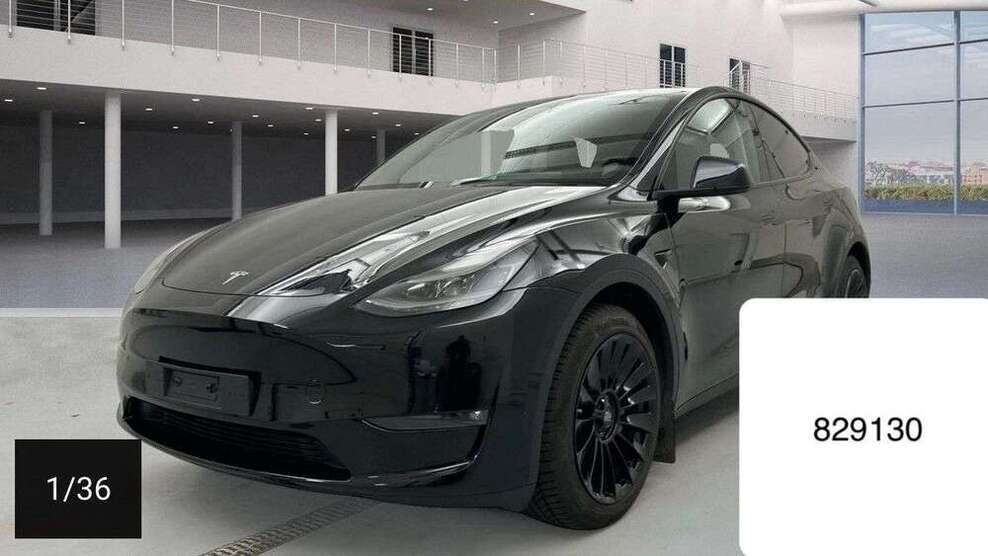 Model Y