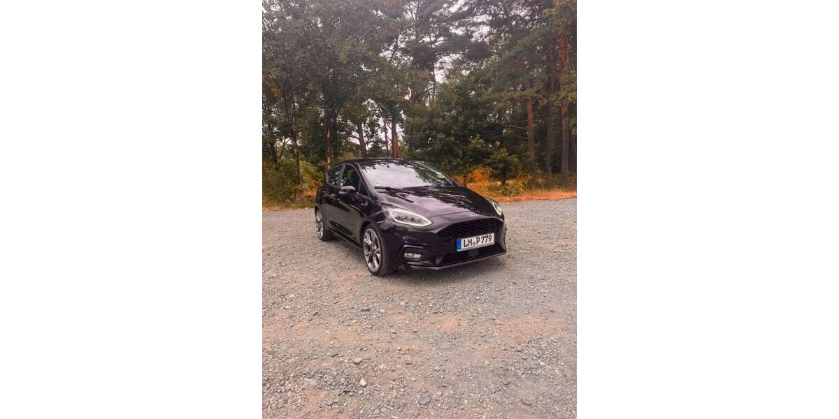 Ford Fiesta 76.000 km 14.500 &euro; Mengerskirchen 35794
