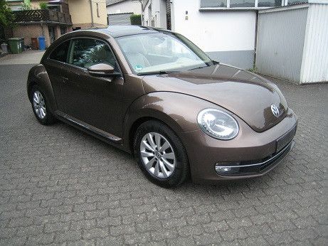 Beetle