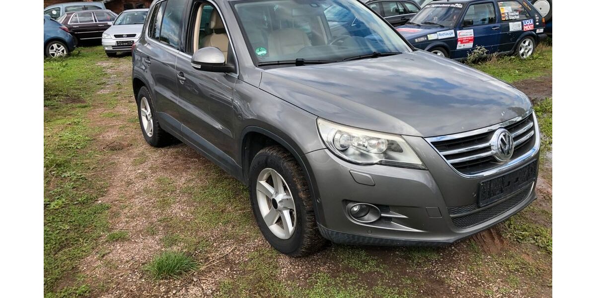 VW Tiguan 228.900 km 6.350 &euro; Offenbach an der Queich 76877