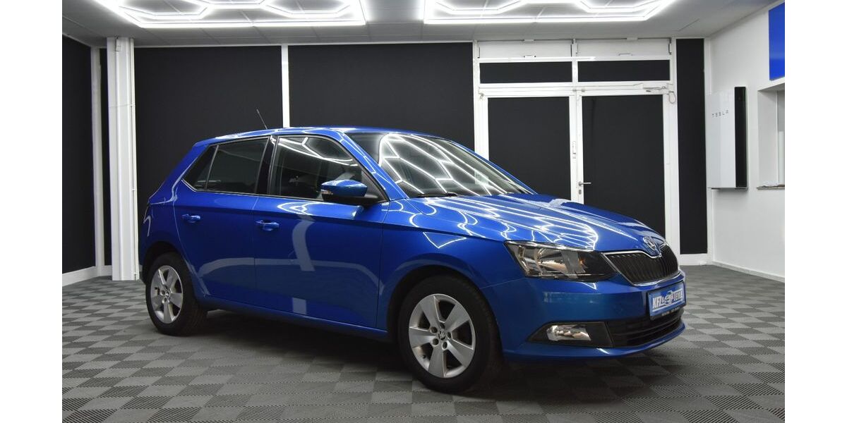 Skoda Fabia 175.000 km 6.980 &euro; Erfurt 99092
