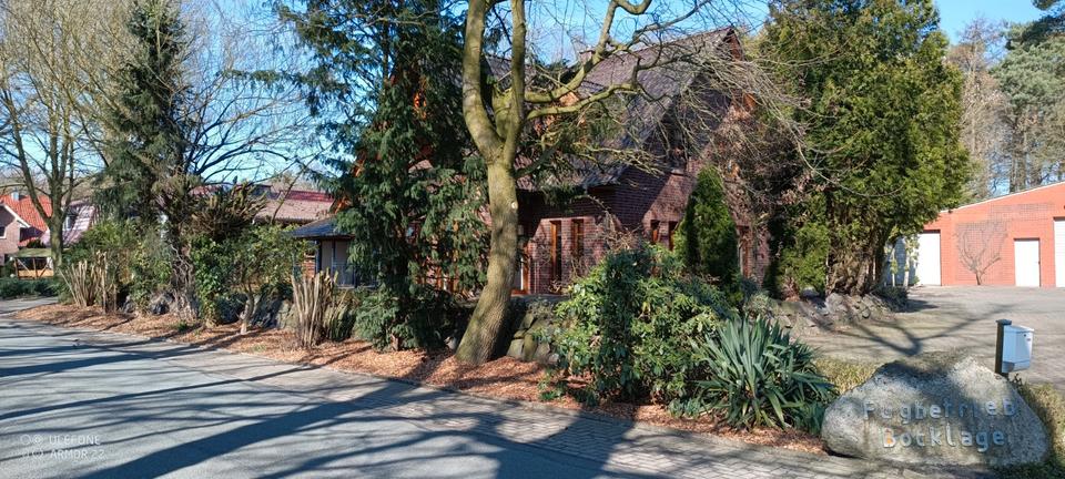 Mehrfamilienhaus, Wohnhaus Bakum - 7 Zimmer, 257 m&sup2;, 485.000&euro; | Angebot:26865164