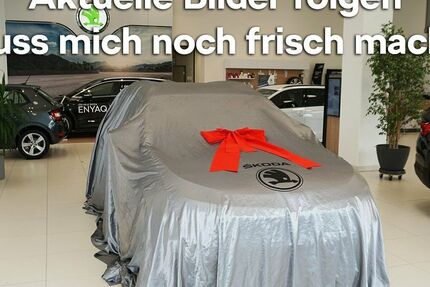 Skoda Kamiq 25.300 km 28.890 € Emmendingen 79312