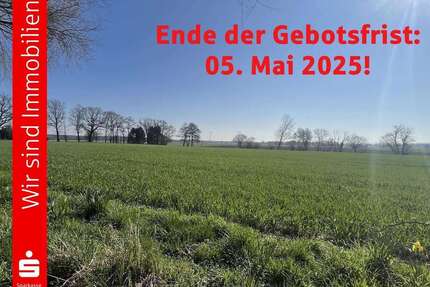 Grundstück in Bohmte 625.251 € 56841 m²