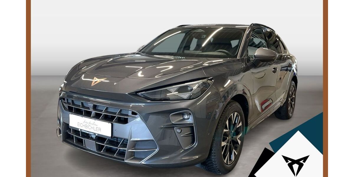 Cupra Terramar 20.312 km 32.210 &euro; Landshut 84030