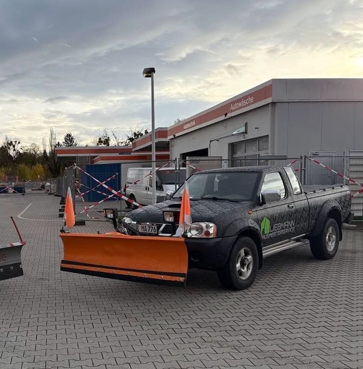 Navara
