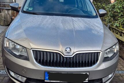 Skoda Octavia 254.000 km 6.300 &euro; Diekholzen 31199