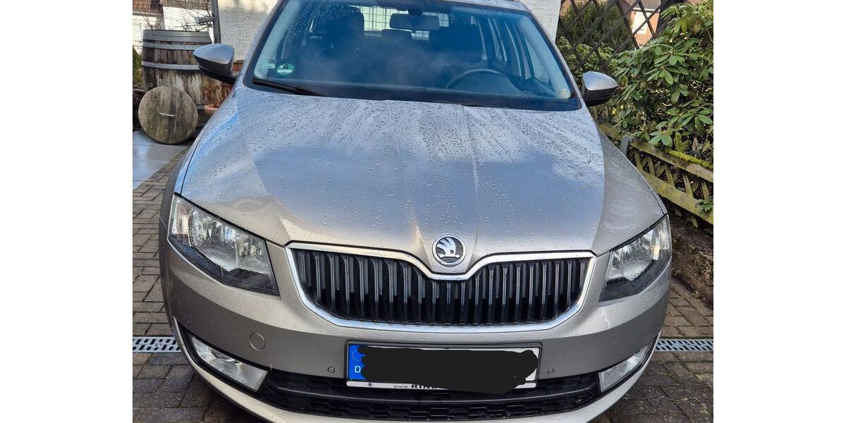 Skoda Octavia 254.000 km 6.500 &euro; Diekholzen 31199