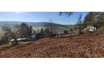Grundstück Neuhemsbach - 95.000&euro; | Angebot:25691406