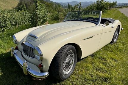 Austin Healey Andere
