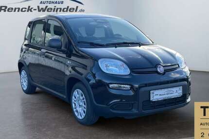 Fiat Panda 4.790 km 15.989 € Ludwigshafen 67071
