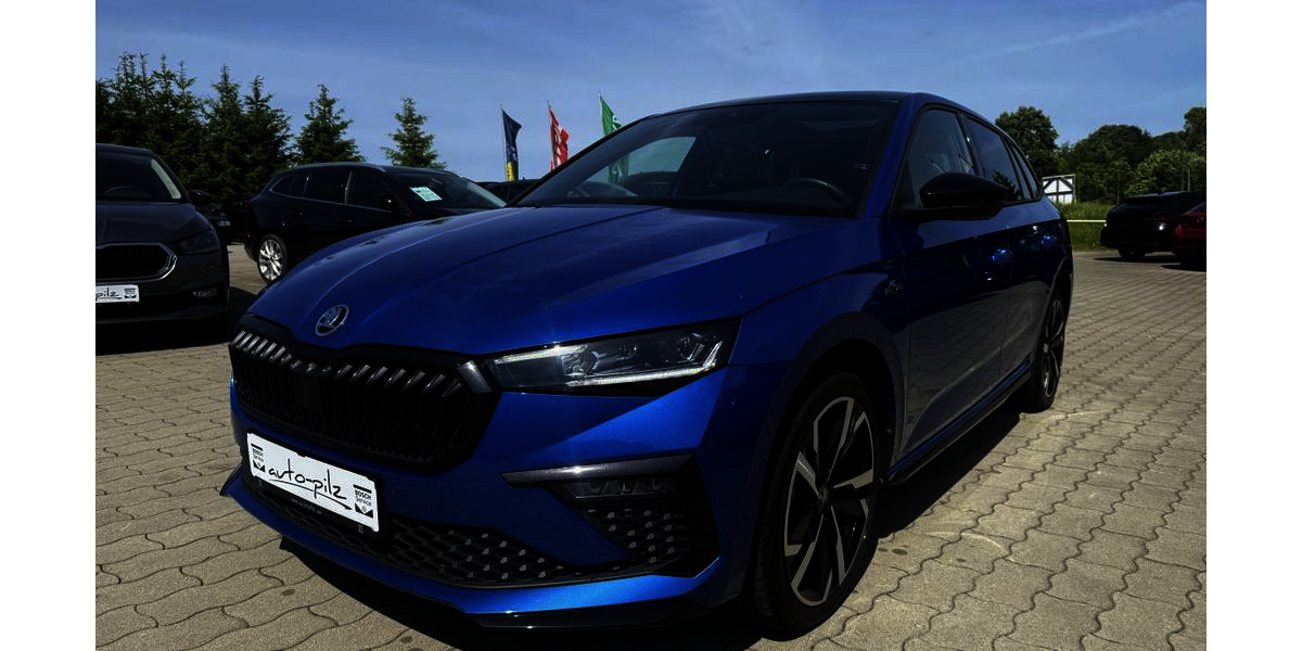 Skoda Scala 7.119 km 24.490 &euro; Thermalbad Wiesenbad OT Schönfeld 09488