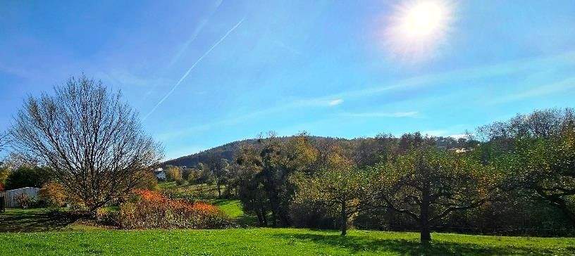 Grundstück Hösbach Rottenberg - 325.000&euro; | Angebot:25796203