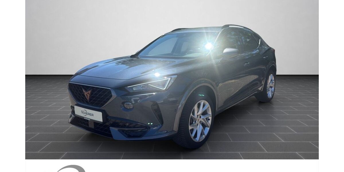 Cupra Formentor 25.164 km 26.390 &euro; Ludwigshafen 67063