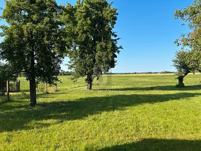 LÄNDLICH MIT GROßEM GRUNDSTÜCK - Bauernhaus, Landhaus Oderaue | Angebot:27095300