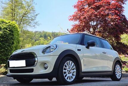 Mini One D