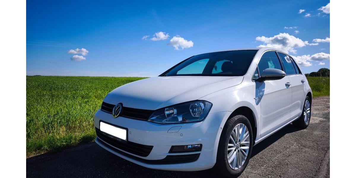 VW Golf 184.200 km 8.900 &euro; Reichenbach 08468
