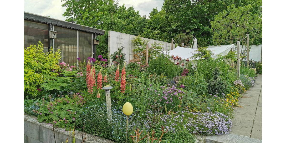 Doppelhaushälfte Dieburg - 3 Zimmer, 80 m&sup2;, 495.000&euro; | Angebot:26290136