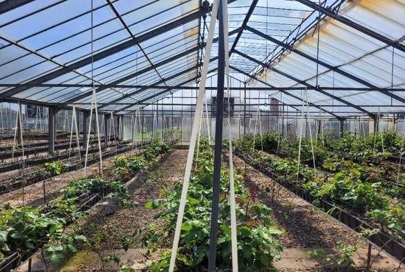 Grundstück Kirchlinteln Bendingbostel - 920.000&euro; | Angebot:25733737