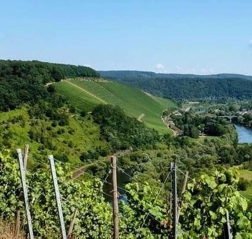 Haus zum Kaufen in Konz-Könen 775.000 € 220 m²