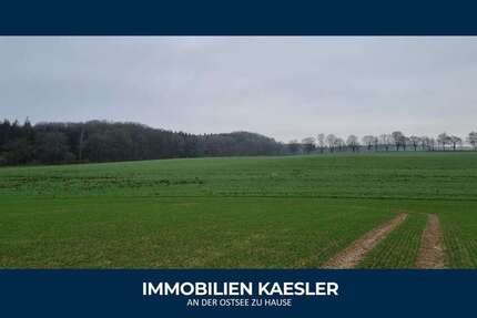 Grundstück in Satow 250.000 € 71261 m²