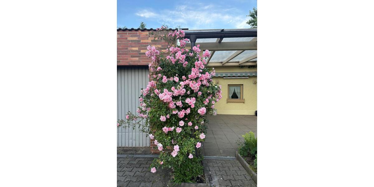 Etagenwohnung Waidhaus - 5 Zimmer, 90 m&sup2;, 580&euro; | Angebot:24153663