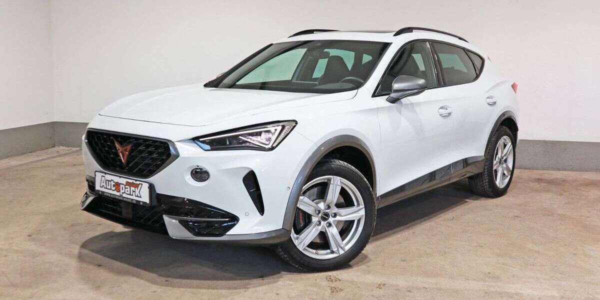 Cupra Formentor 7.000 km 31.900 &euro; Ingelheim am Rhein 55218