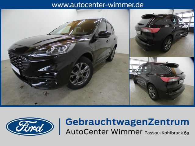 Kuga