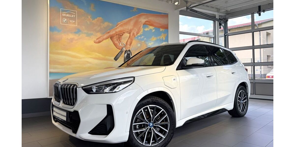 BMW X1 25.000 km 41.820 &euro; Strausberg 15344