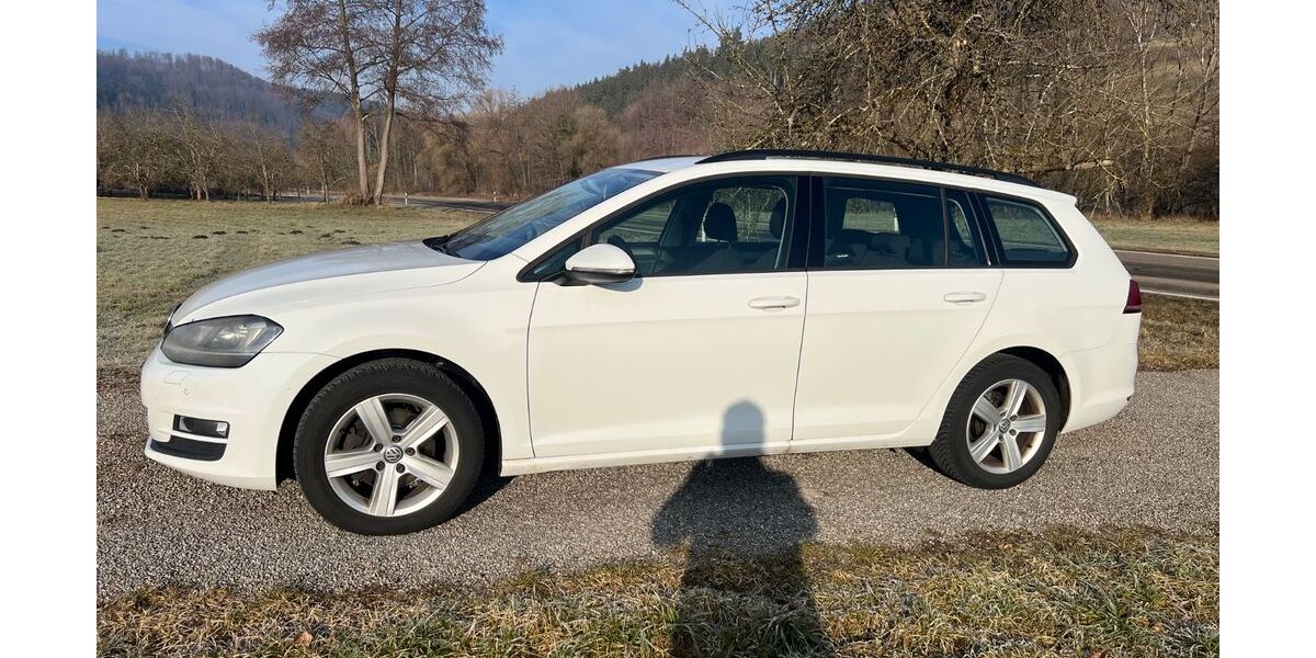 VW Golf 335.000 km 6.000 &euro; Spiegelberg 71579