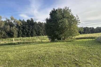 Grundstück Ahorn - 109.500&euro; | Angebot:24770008