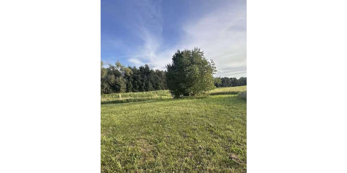 Grundstück Ahorn - 109.500&euro; | Angebot:24770008