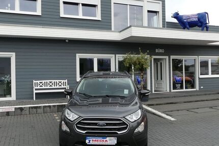 Ford EcoSport 89.000 km 10.000 &euro; Magdeburg 39108