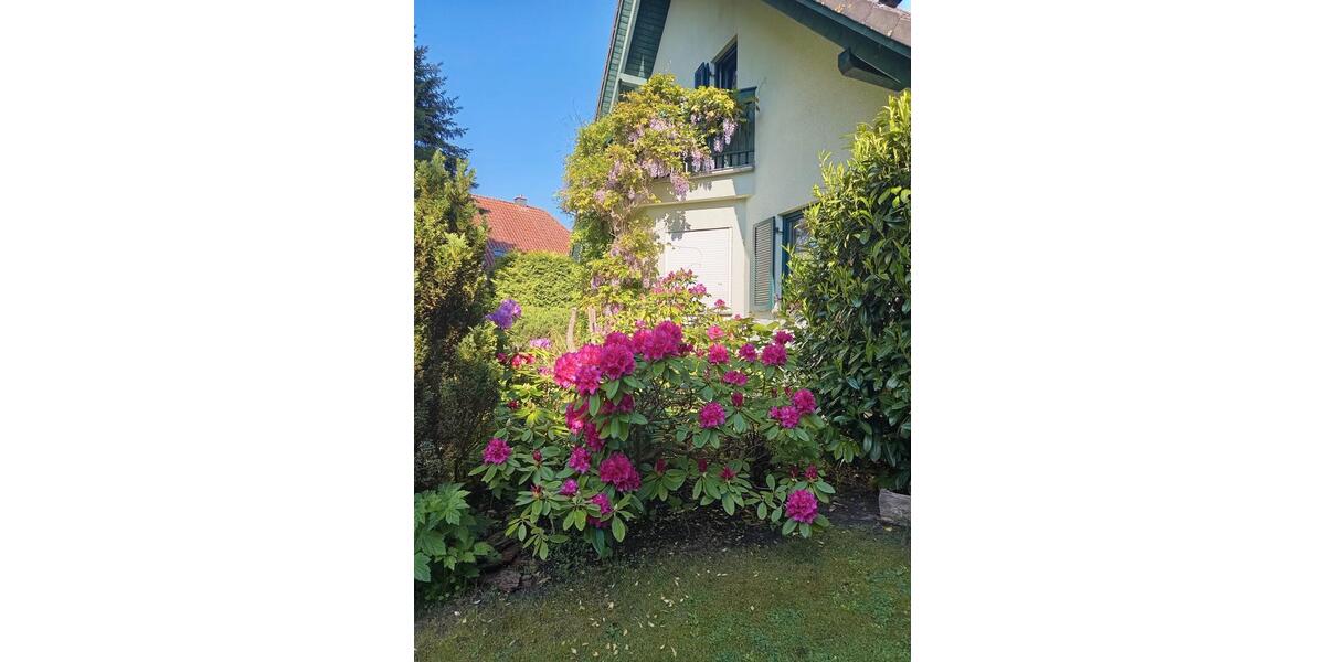 Einfamilienhaus Tarnow - 4 Zimmer, 170 m&sup2;, 390.000&euro; | Angebot:27044423